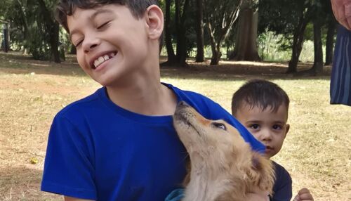 Feira de adoção no Canil Municipal ajuda seis animais a encontrarem um lar