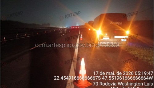 Van atropela capivara na rodovia Washington Luís 