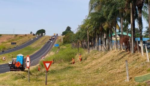 Após cobranças da Prefeitura, concessionária realiza limpeza às margens da Washington Luís em Ibaté
