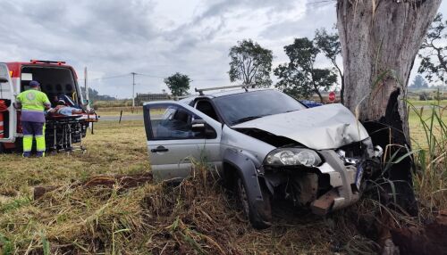 Veículo perde controle e colide contra árvore às margens da SP-215