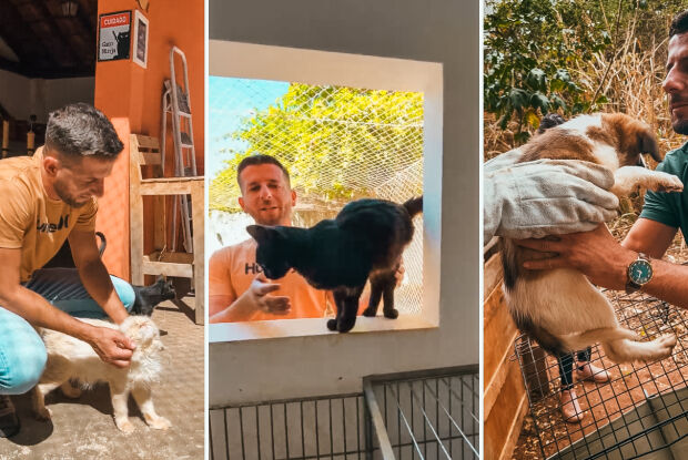 Castrações, microchipagem e testes FIV/FELV: Elton Carvalho destina recursos para ONG ASA 