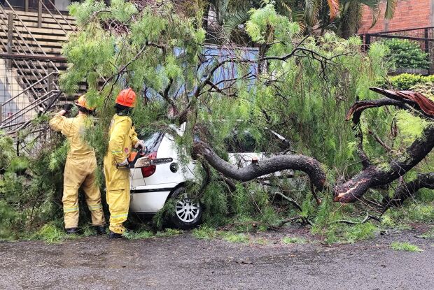 Árvore cai sobre veículo no Parque Delta após forte chuva