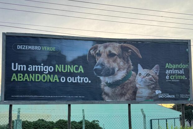 Dezembro Verde 2025 reforça conscientização contra o abandono de animais na cidade