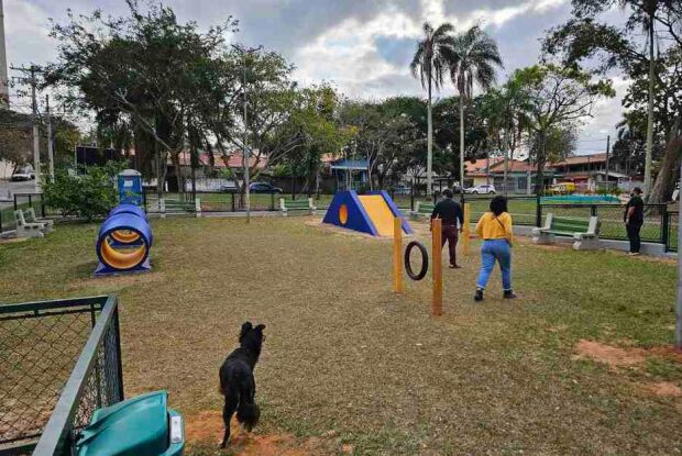  Elton Carvalho destina R$ 100 mil para construção com foco no bem estar animal e socialização