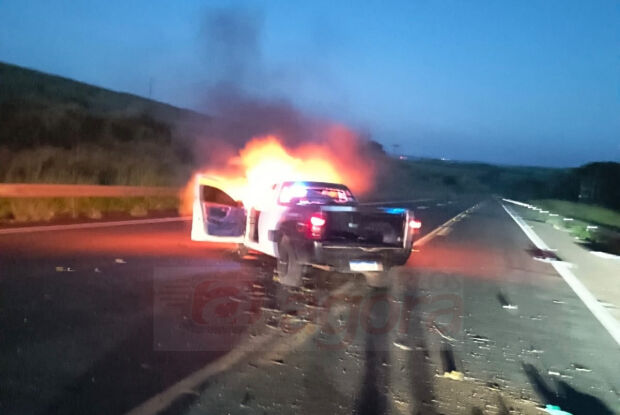 Motorista escapa de tragédia após atropelar capivara e veículo pegar fogo na SP-215
