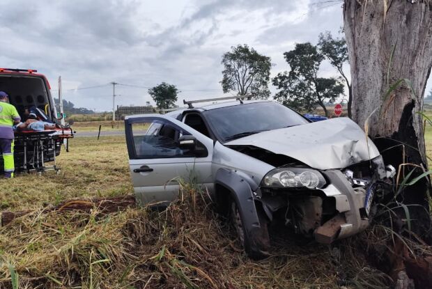 Motorista perde controle e colide contra árvore às margens da SP-215
