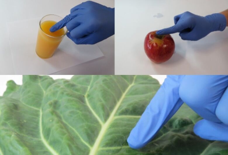 Cientistas da USP de São Carlos criam luva que detecta pesticidas em alimentos