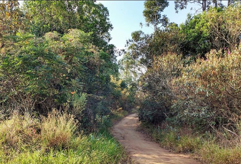 Trilha da Natureza promove visita especial pelo Dia Mundial da Limpeza