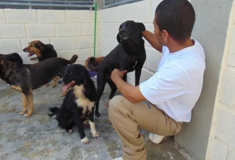 Presídios no Brasil poderão acolher cães e gatos para ressocialização de presos