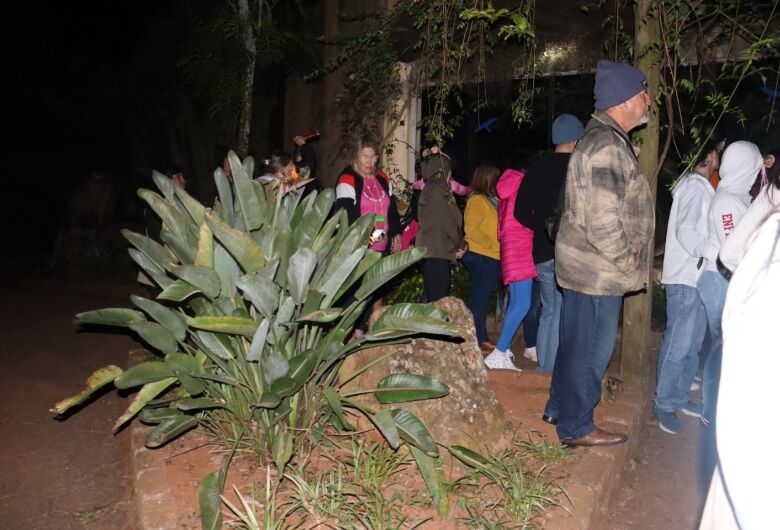 Parque Ecológico realiza passeio noturno, quarta com bicho e curso de férias