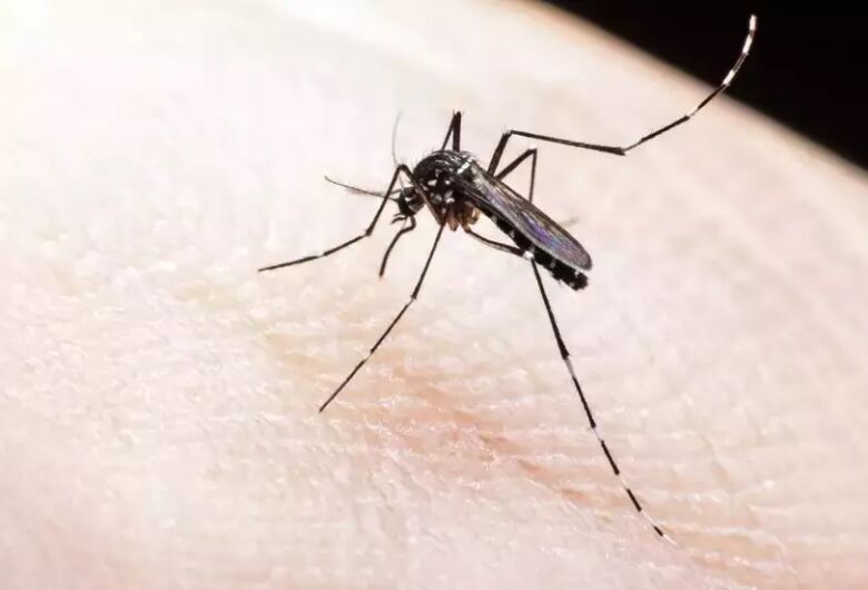 São Carlos ultrapassa 2 mil casos de dengue em 2025