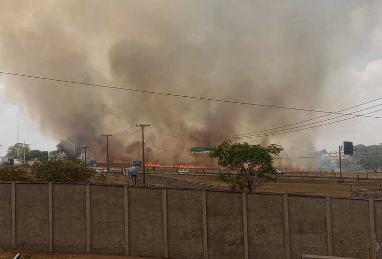 Incêndio atinge área de pasto em São Carlos