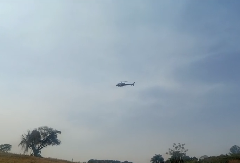 Incêndios causaram grande destruição e deixaram uma pessoa ferida no Parque Itaipu