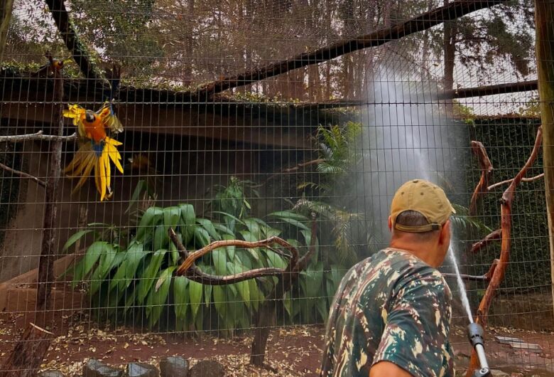 Animais do Parque Ecológico recebem banho e alimentação especial por causa do calor