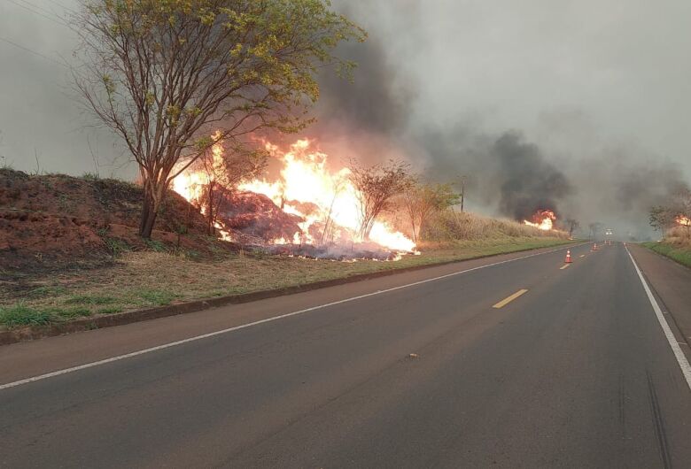 Defesa Civil prorroga até sábado alerta de risco elevado para incêndios no estado de SP