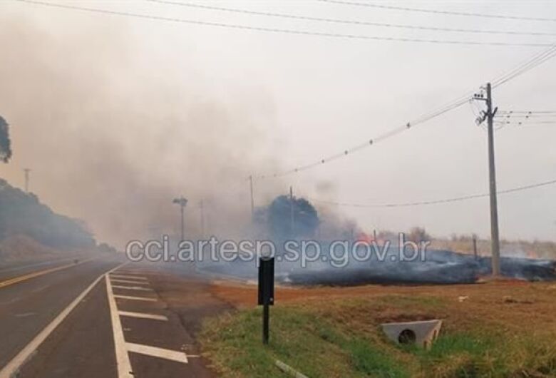 Incêndio mobiliza concessionária na rodovia SP-318 em São Carlos