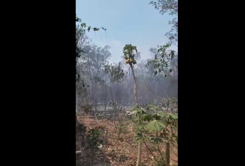 Incêndio em mata no Zavaglia é controlado 