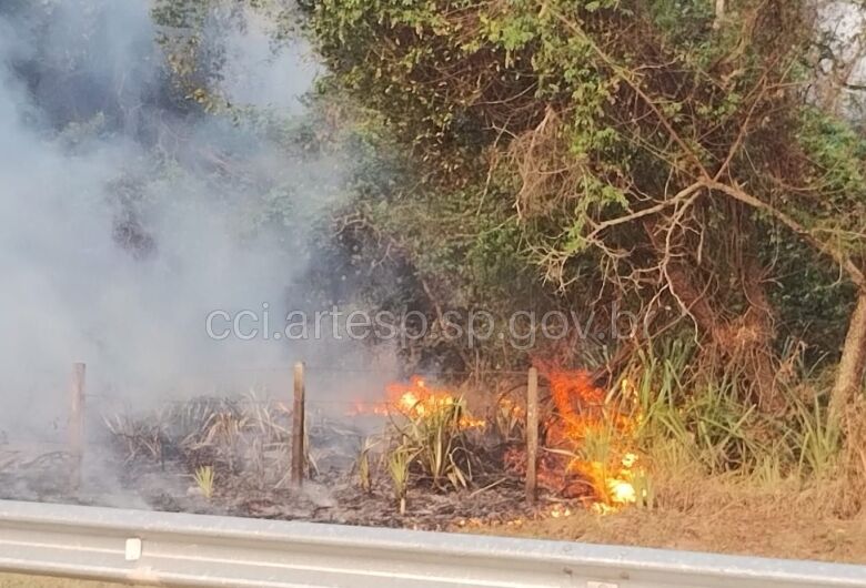 Queimada persiste na Washington Luís em São Carlos