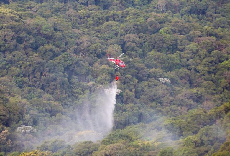 Focos de incêndio caem 88% no estado de São Paulo