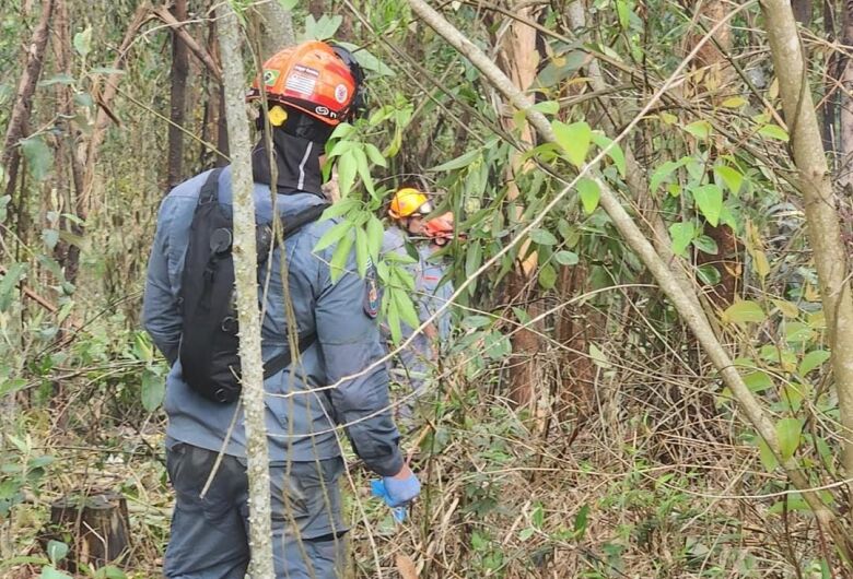 Queda de avião no interior de São Paulo deixa cinco mortos