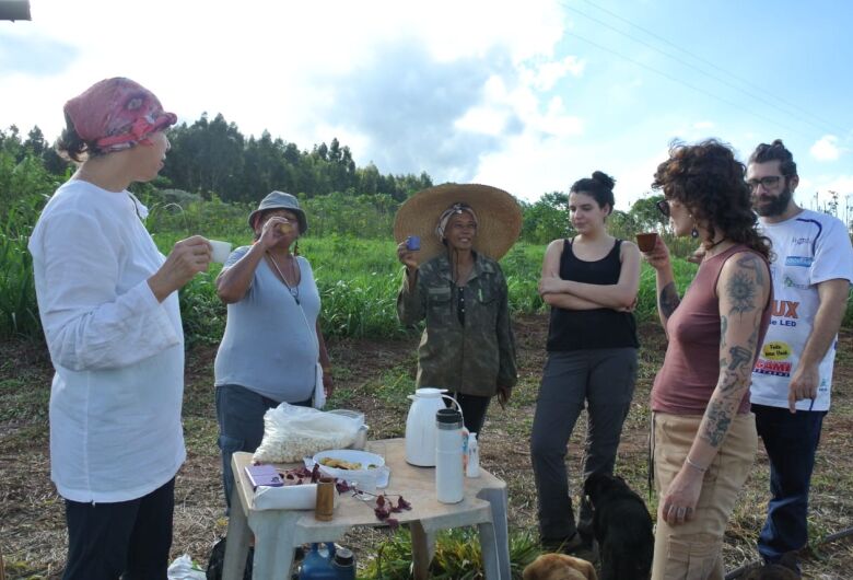 Sítio Abirú busca voluntários para projeto de sustentabilidade 