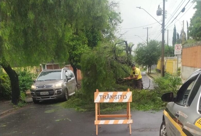 Árvore cai sobre a rua São Sebastião