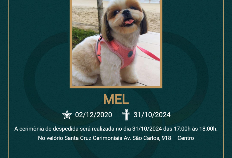 Homenagem do Grupo Santa Cruz a cachorrinha Mel