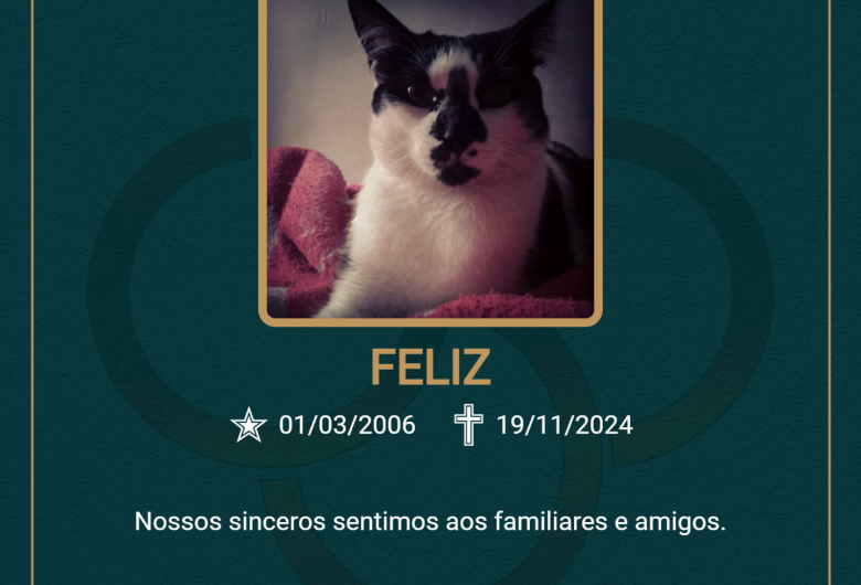 Homenagem do Grupo Santa Cruz ao pet Feliz