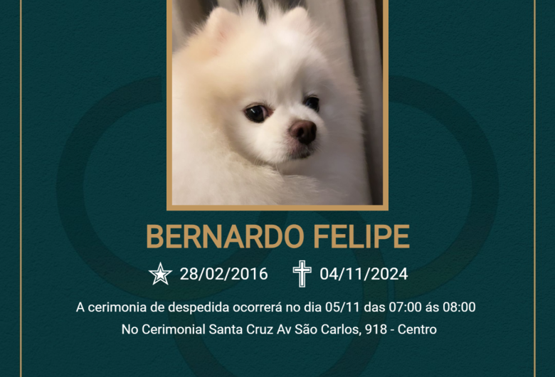 Homenagem do Grupo Santa Cruz ao pet Bernardo Felipe