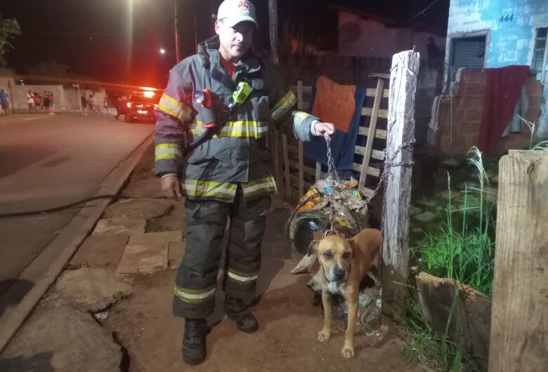 Incêndio consome casa no Jardim Cruzado; Corpo de Bombeiros resgata cachorro