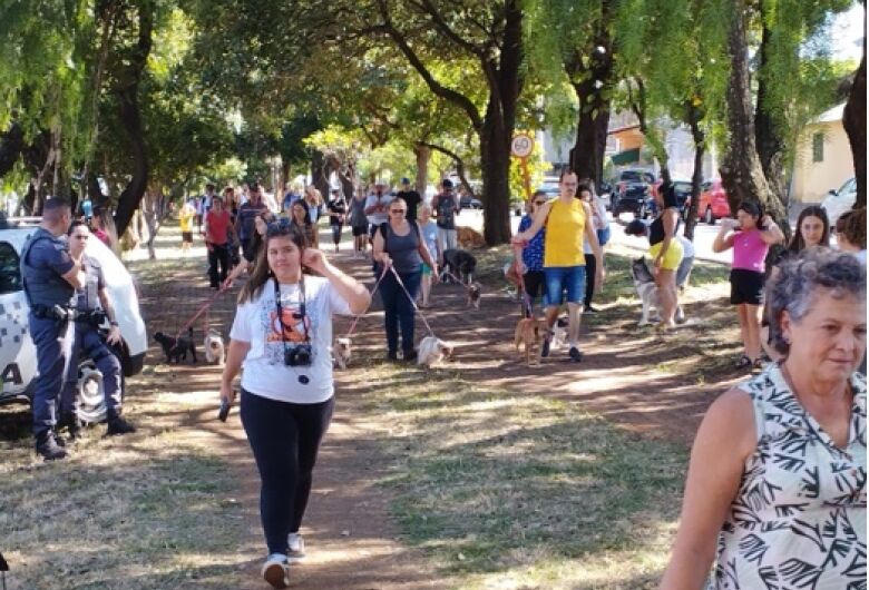 Cãominhada da rua das Torres acontece neste domingo