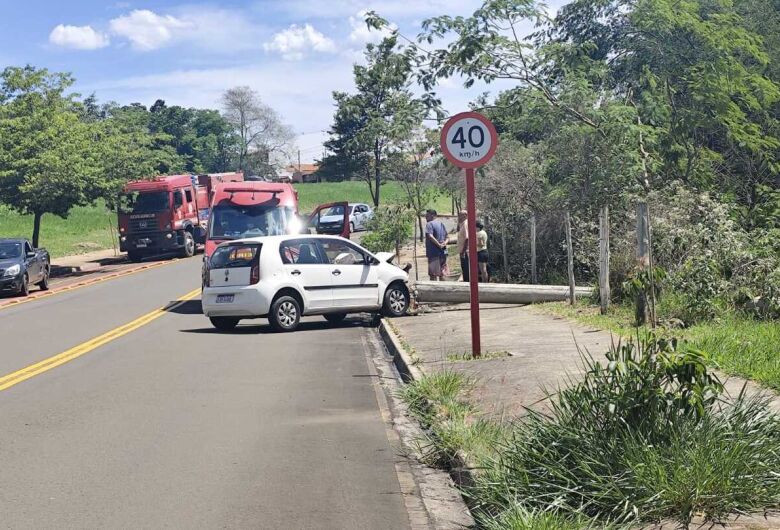 Motorista desvia de tatu e derruba 4 postes no Jardim Araucária