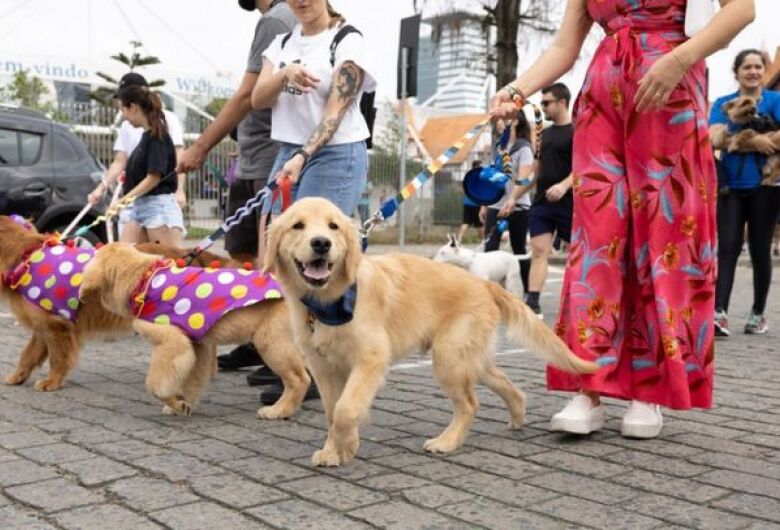 Pets poderão doar sangue durante cãominhada neste domingo em São Carlos