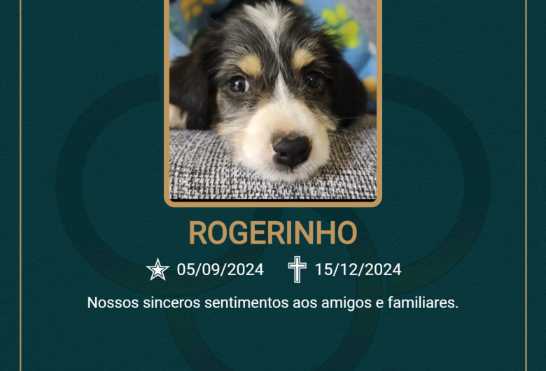 Homenagem do Grupo Santa Cruz ao pet Rogerinho