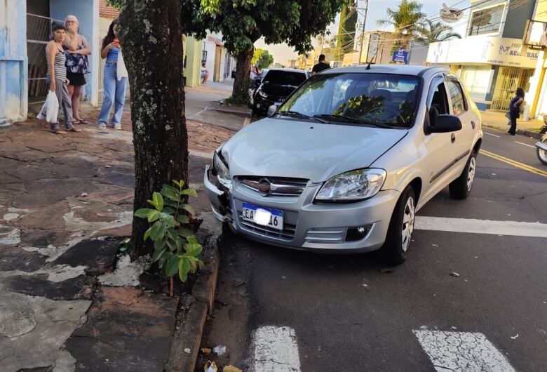 Carro bate em árvore na avenida Sallum 