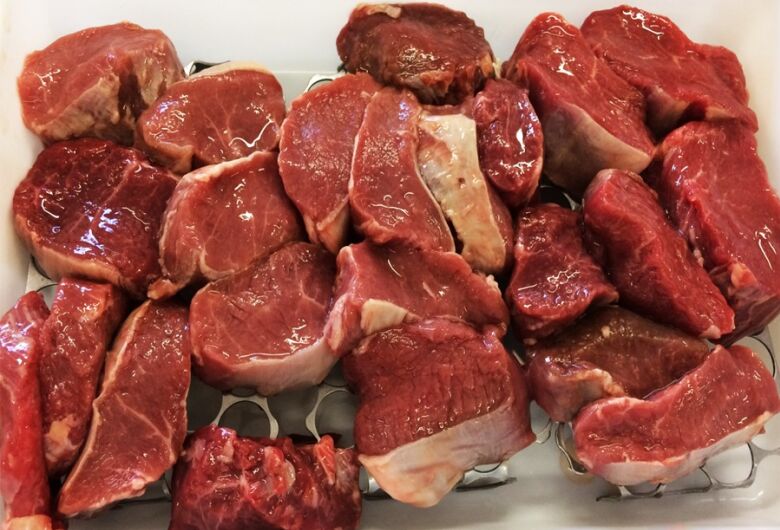 Pesquisa realizada em São Carlos indica que embalagens tecnológicas e sustentáveis para carnes são pouco usadas por açougues e casas de carne