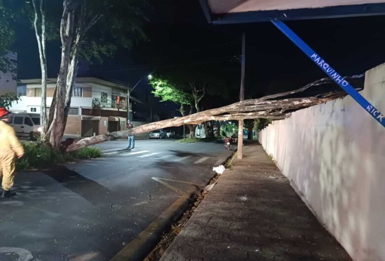 Árvore cai sobre muro do cemitério Nossa Senhora do Carmo 