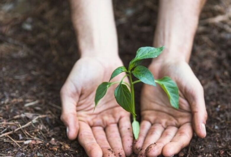 MBA online em Restauração Ecológica e Licenciamento Ambiental estão com inscrições abertas