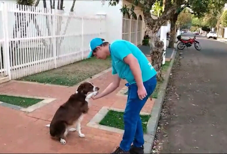 'Conexões': Adestramento de cães  técnicas ajudam a criar uma boa relação entre animal e tutor