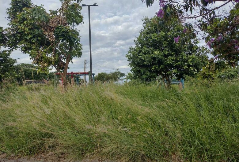 Mato toma conta de praça no Jardim Araucária