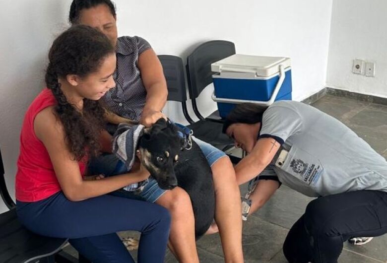 Vacinação de cães e gatos segue sendo realizada no posto permanente "Romeu Casale Filho"