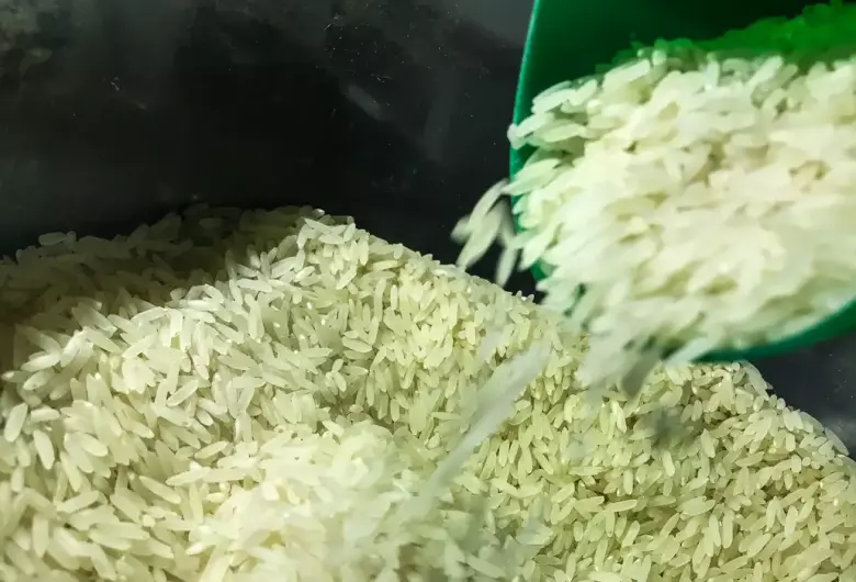 Retomada de produção no Sul faz preço do arroz despencar