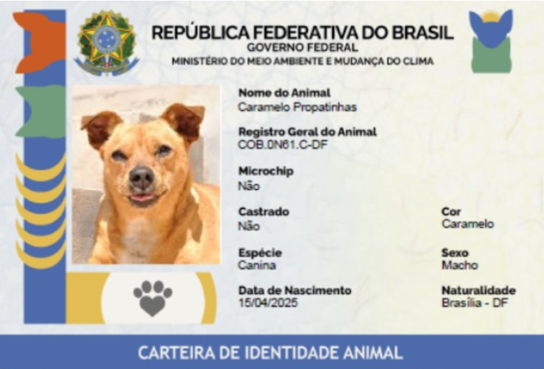 Lula lança "RG Animal" para cães e gatos