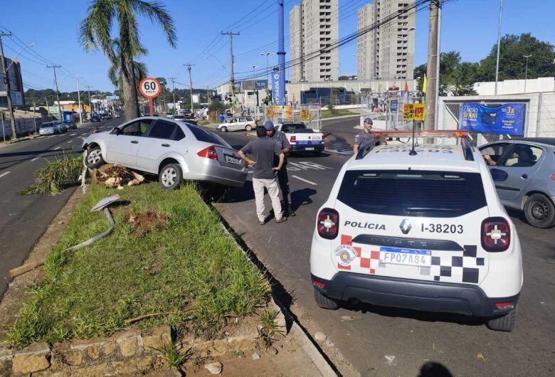 Carro sobe em canteiro e derruba coqueiro e placa de sinalização na Avenida Getúlio Vargas