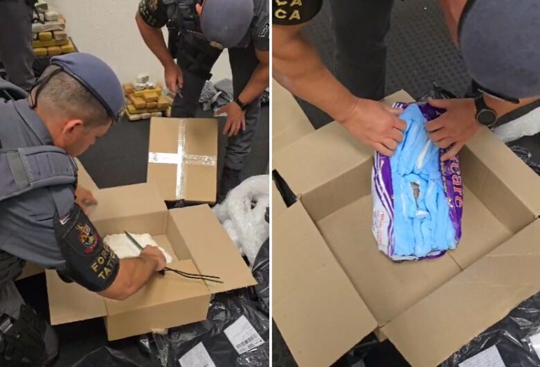 Força Tática desmantela quadrilha que despachava drogas pelo Correios