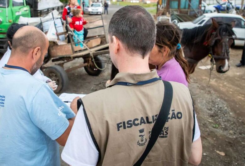 Fiscais no canil: Elton Carvalho cobra a contratação para o Departamento de Controle e Defesa Animal