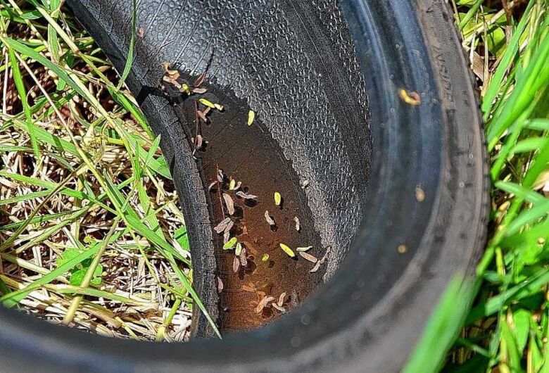Morador denuncia acúmulo de lixo e água parada em terreno de São Carlos