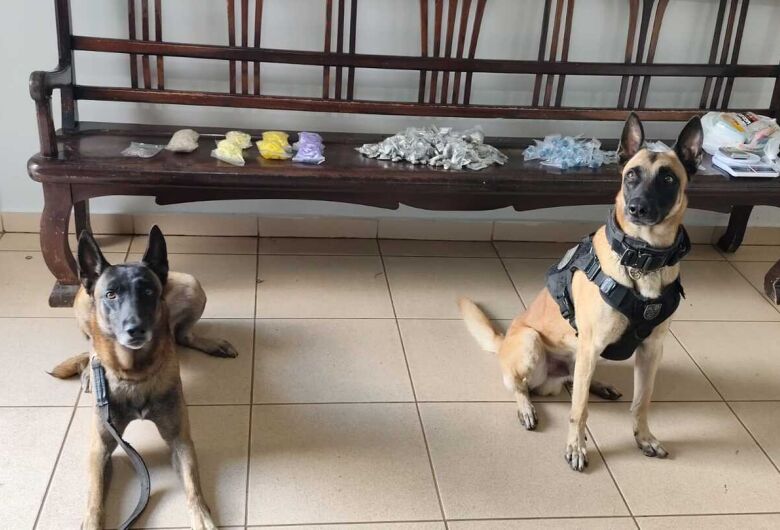 Cães do 11º BAEP localizam grande quantidade de drogas no CDHU