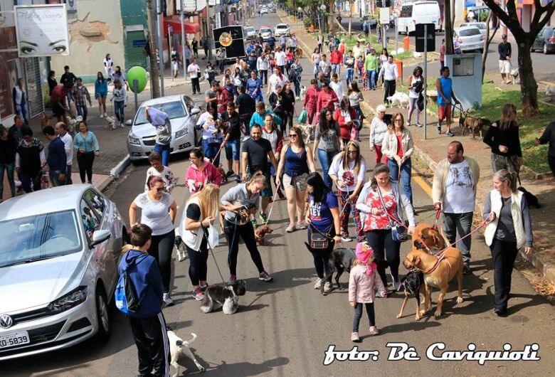 Circuito Cãominhada 2025: evento chega com novidades e mais locais em São Carlos