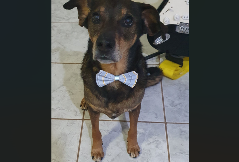 Homenagem da Funerais Pet ao cachorrinho Angus Antônio